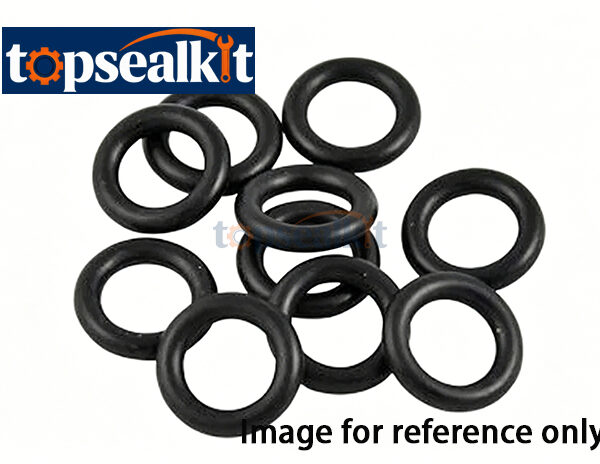 BP Series O Ring Seal Kit For Sealing