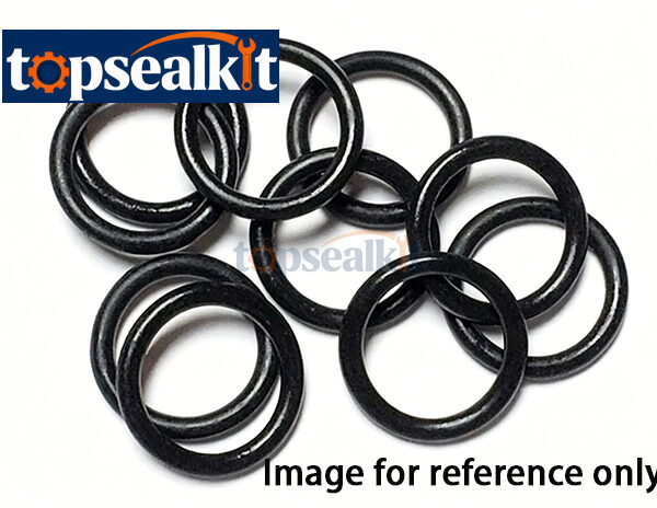 BG Series O-Ring For Sealing