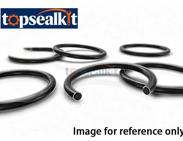 O-Ring CS3 Sealing Ring For Mechanical Equipment