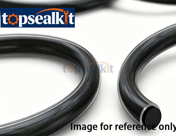 Ring CS2 O-Ring Seal Kit For Sealing